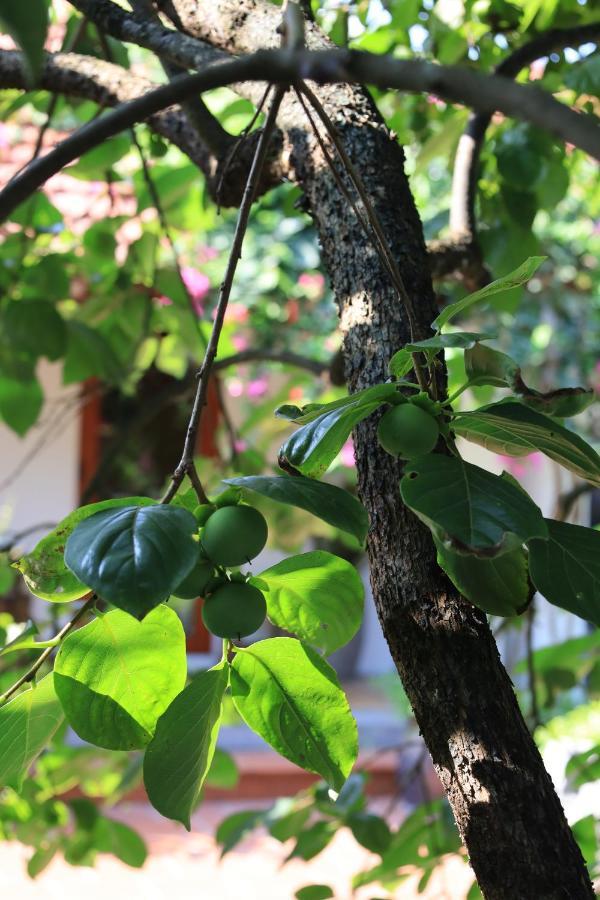 Thom'S House Hotel Ninh Bình Ngoại thất bức ảnh