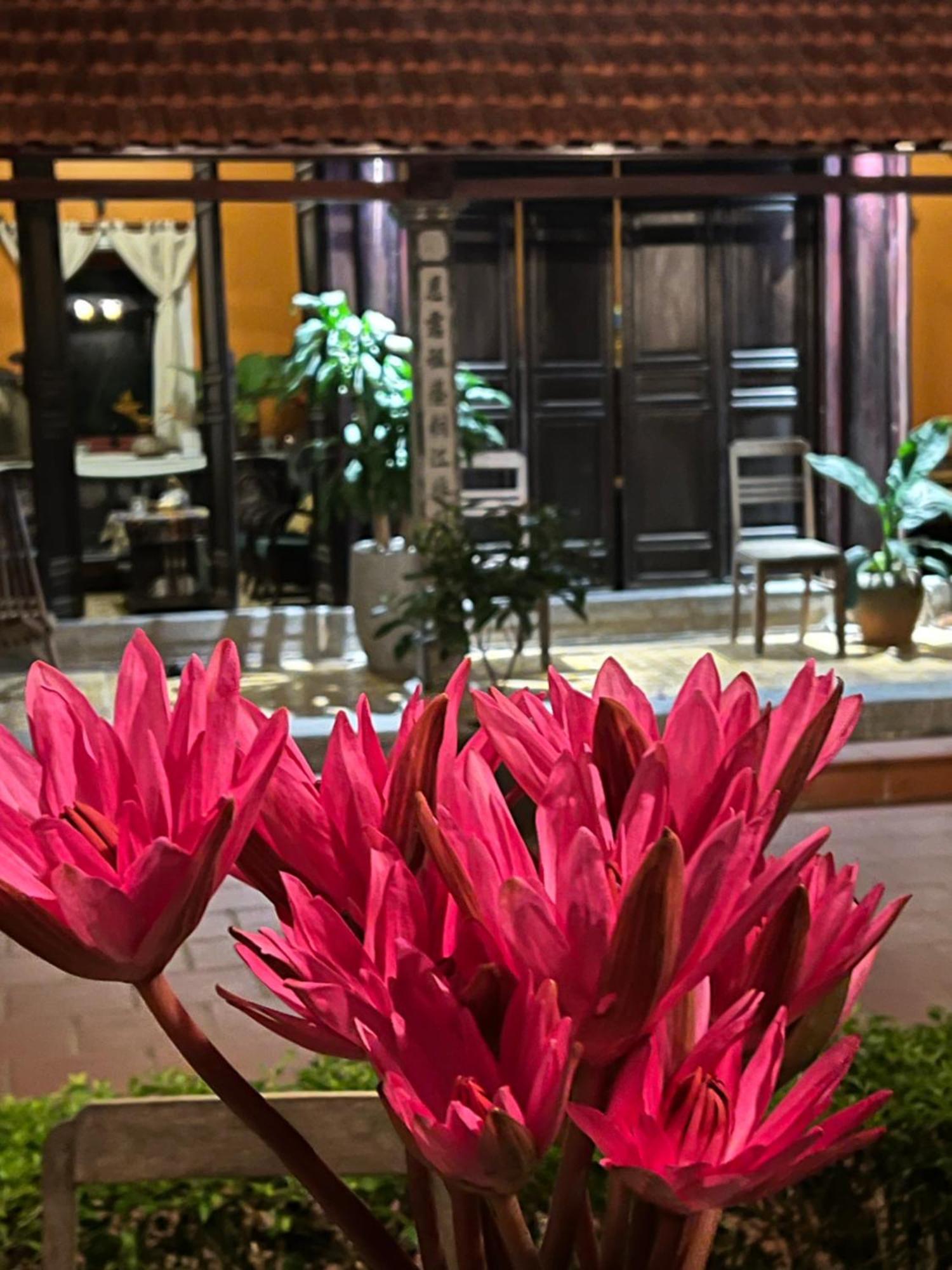 Thom'S House Hotel Ninh Bình Ngoại thất bức ảnh
