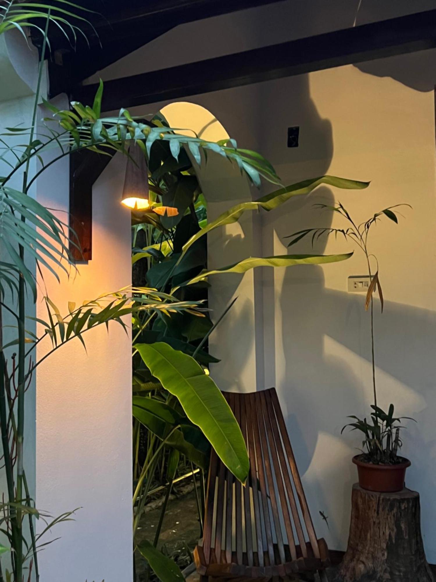 Thom'S House Hotel Ninh Bình Ngoại thất bức ảnh