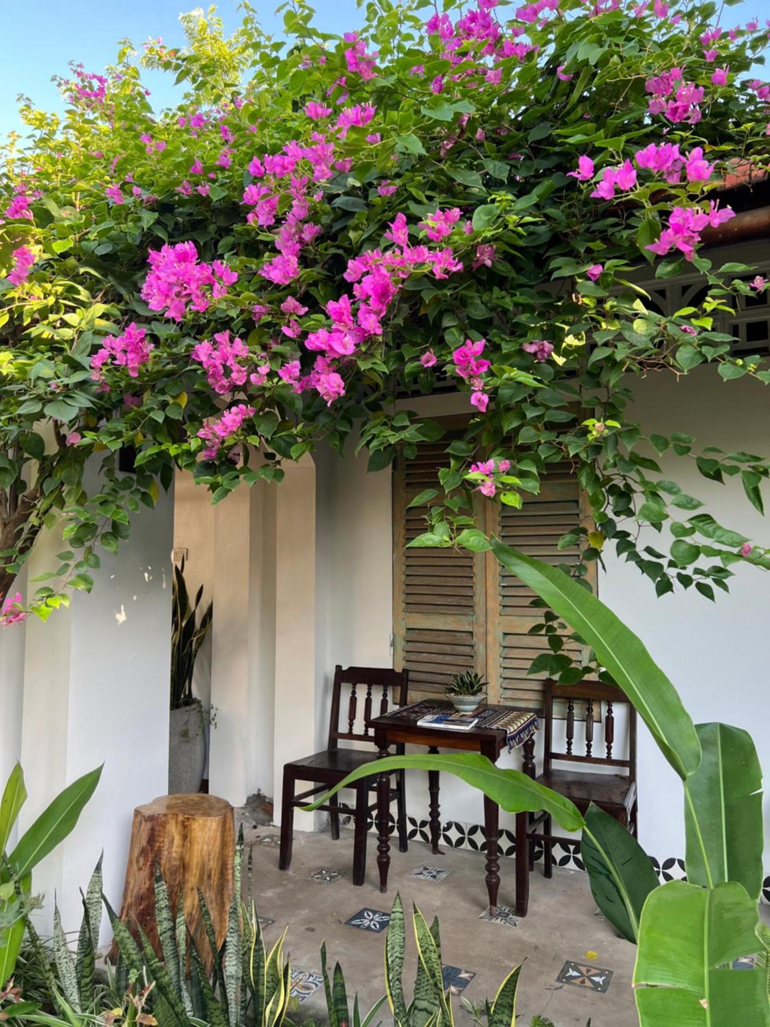 Thom'S House Hotel Ninh Bình Ngoại thất bức ảnh