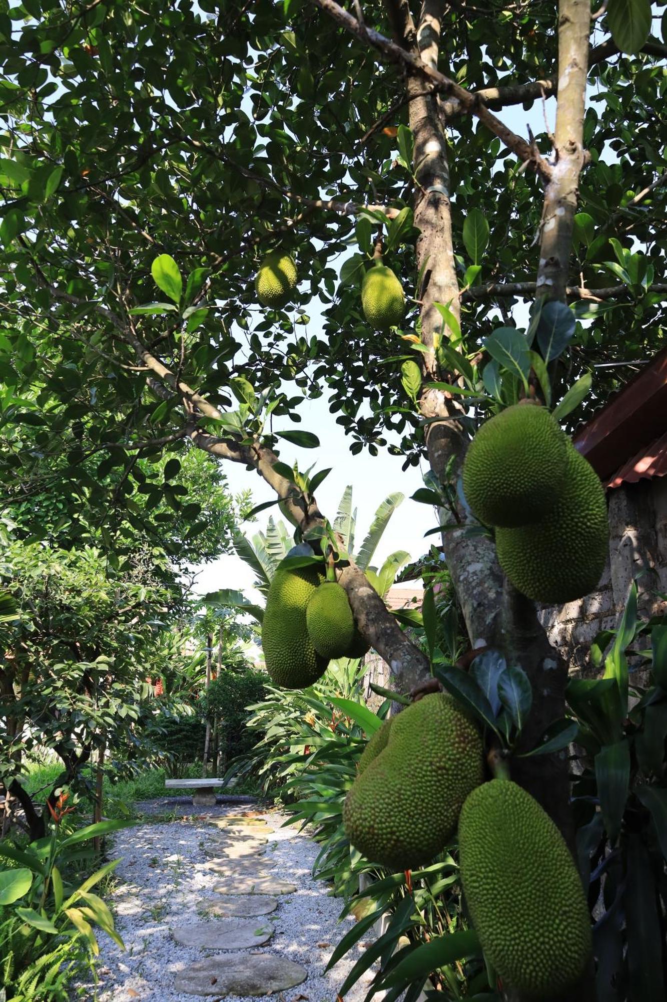 Thom'S House Hotel Ninh Bình Ngoại thất bức ảnh